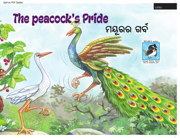The Peacock's Pride